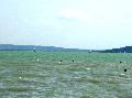 Balaton